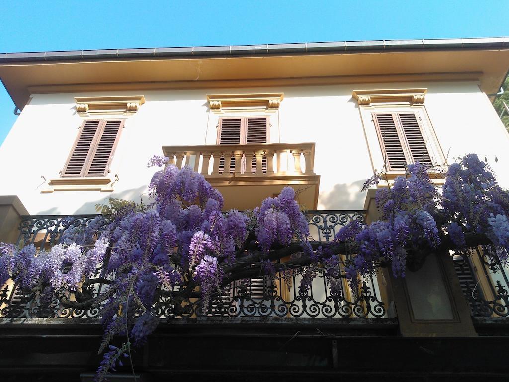 Villa Violetta Castiglioncello Luaran gambar