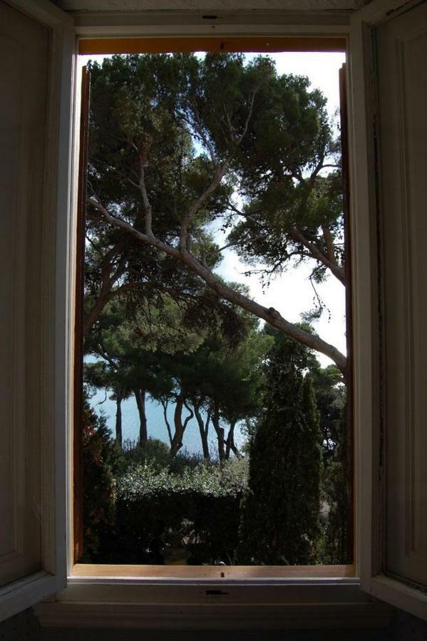 Villa Violetta Castiglioncello Luaran gambar